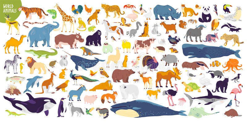 Big vector set of different world wild animals, mammals, fish, reptiles and birds. Rare animals. Funny flat characters, good for banners, prints, patterns, infographics, children book illustration etc. Big vector set of different world wild animals, mammals, fish, reptiles and birds. Rare animals. Funny flat characters, good for banners, prints, patterns, infographics, children book illustration etc